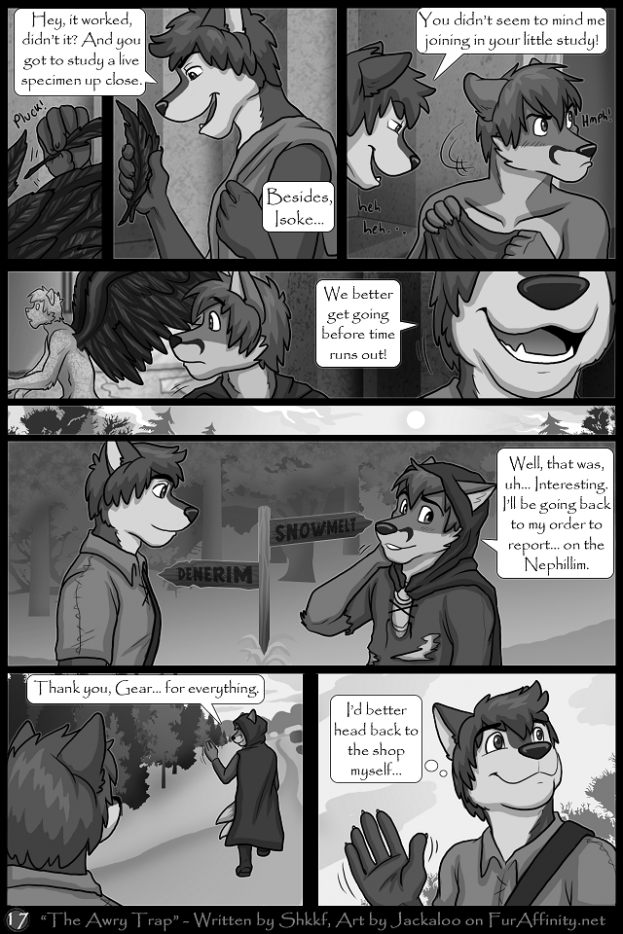 Page 17